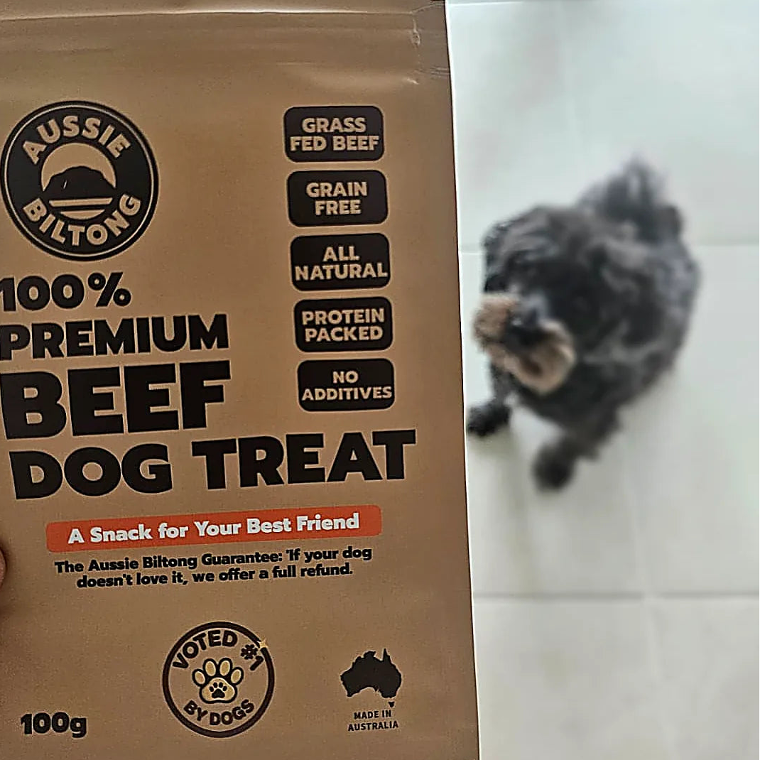 Oreo curious about Aussie Biltong's 100% Premium Beef Dog Treat 