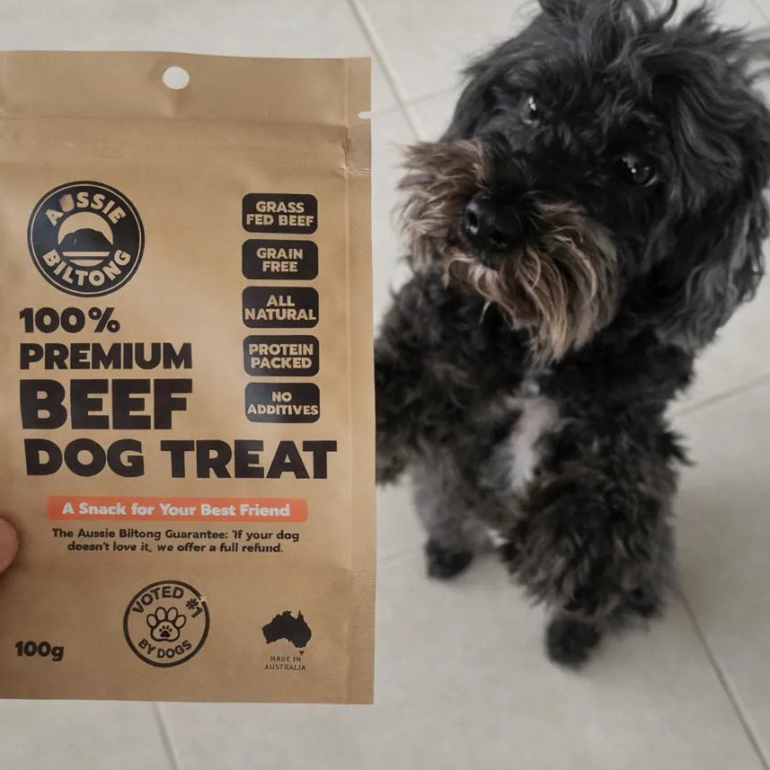 Oreo voting with his nose, Aussie Biltong's Dog Treat as Number 1 Dog Food